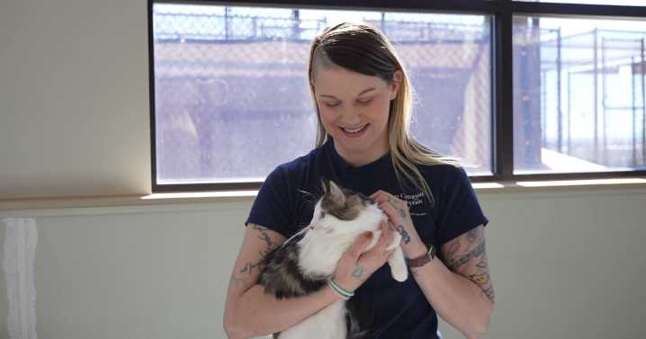 Dogs and cats in animal cruelty case ready for adoption