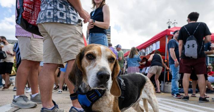 12 fairs and festivals in south Louisiana Oct. 31