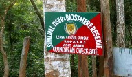Similipal Tiger Reserve to reopen for tourists from October 18
