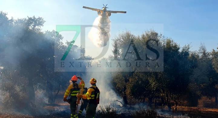 El Infoex cierra la época de incendios con 1.465 incidencias y más de 50.000 hectáreas calcinadas