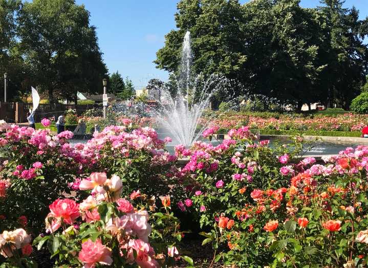 Opinion: The future of our parks is in our hands