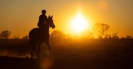 Sydney weather: Fire ban after NSW and Queensland break October temperature records