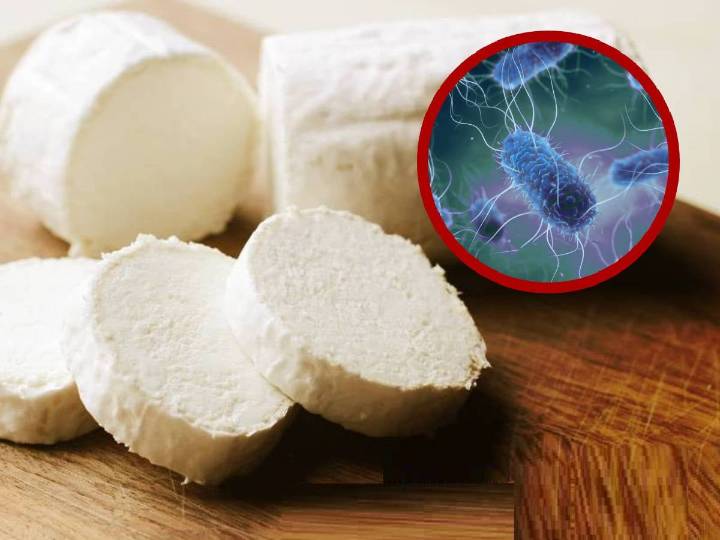 Retiran famosos quesos artesanales por contaminación con bacteria: FDA