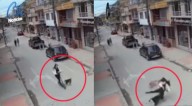 Curioso hecho: perros tumbaron a una mujer