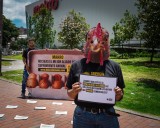 En protesta pacífica piden dejar de vender huevos de gallinas en jaulas de batería