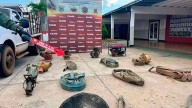 Ejecutan ofensiva permanente contra actividades ilícitas