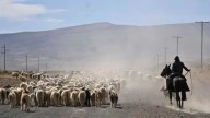 Así planea Neuquén enfrentar la sequía y mitigar los efectos sobre la producción