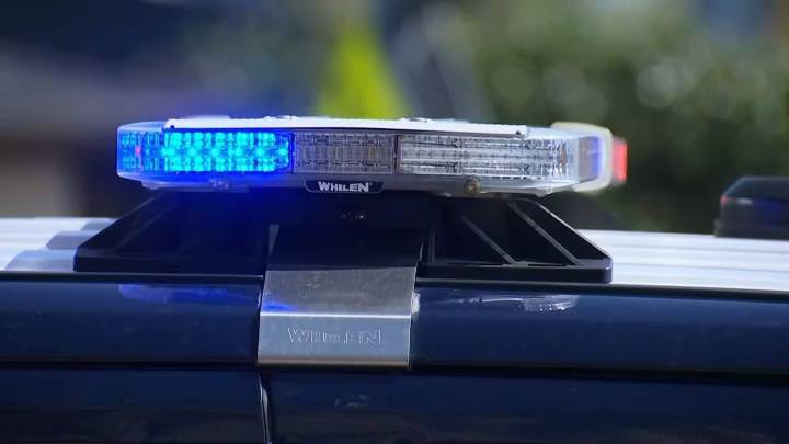 South Bay teen arrested over alleged gun crimes