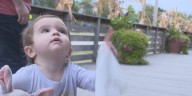 Living donor program offers hope to families waiting for transplants