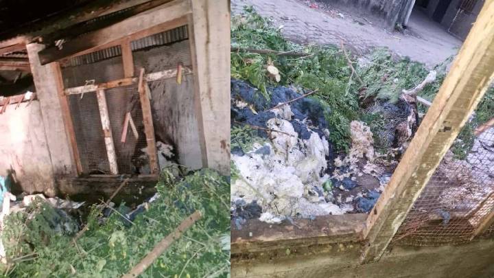Arunachal: Electrical fault triggers massive blaze in Ruying Colony, no casualties reported
