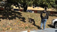 Greensboro family needs a home after hotel closes over crime issues