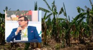 Asbama alerta por “escalada de inseguridad” tras asesinato de tres trabajadores bananeros La Asociación de Bananeros del Magdalena y La Guajira exigió un PMU, e hizo un llamado a que el Estado garanti