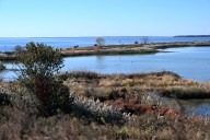 Man drowns after falling from boat near Hart