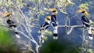 Why has IUCN red-flagged the Western Ghats?