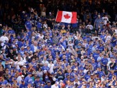 Jumping on the Blue Jays bandwagon? Here's what you need to know