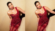Priyanka Chopra’s Daughter ‘Malti’s Diwali Party Was Lit,’ Not Our Words