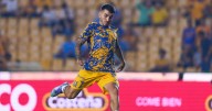 ¡De MIEDO! Ángel Correa se encuentra frente a frente con un OSO en Monterrey (VIDEO)