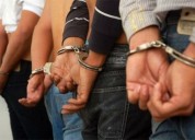 Privados de libertad 9 hombres por el contrabando de 155 rolas de madera en Bolívar