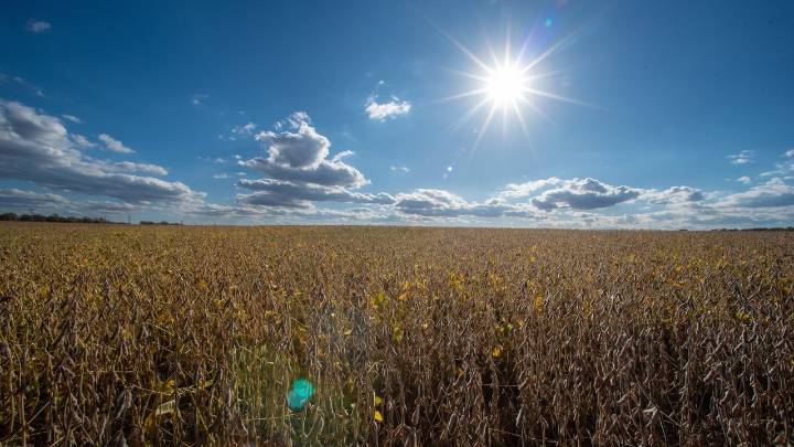 4 Republicans back Senate resolution to undo Trump's tariffs around the globe