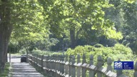 City and sheriff team up to clear needles from parks