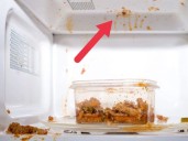 Wild truth about cleaning your microwave