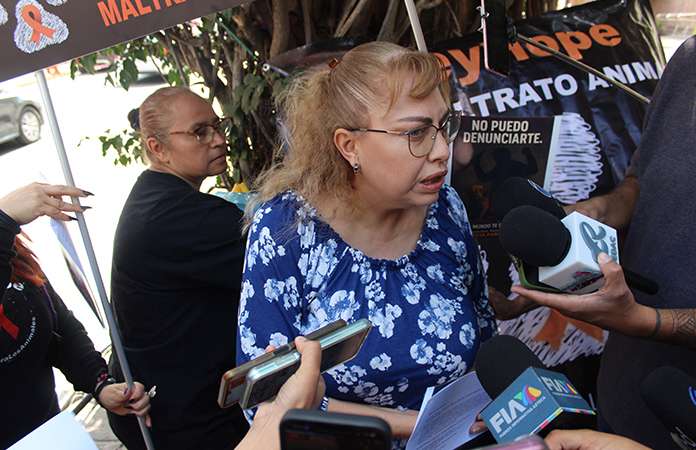 Colectivo pide cárcel para el maltrato animal