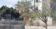Socavón de la ’10′ ya cumplió más de un mes y siguen afectaciones para los locatarios
