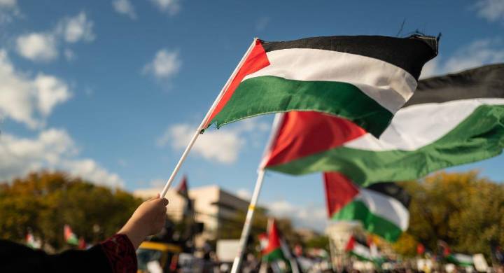 Protestas por Palestina sacuden Bogotá: colectivos exigen detener la "barbarie" en Gaza