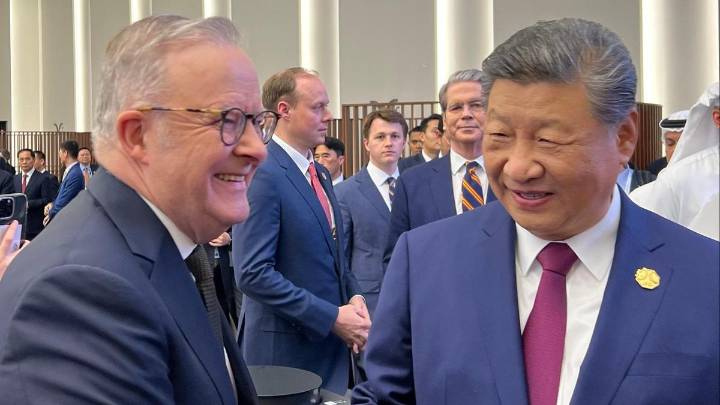 APEC Summit: Anthony Albanese meets Xi Jinping and backs China’s free trade push after military tensions