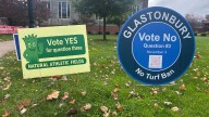 Glastonbury voters to decide on artificial turf ban