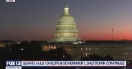 Finger-pointing continues as Senate vote fails to end government shutdown