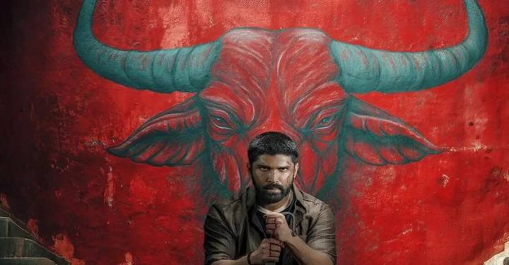 Bison Kaalamaadan 10 Days Collection: ₹49.40 Crore Worldwide
