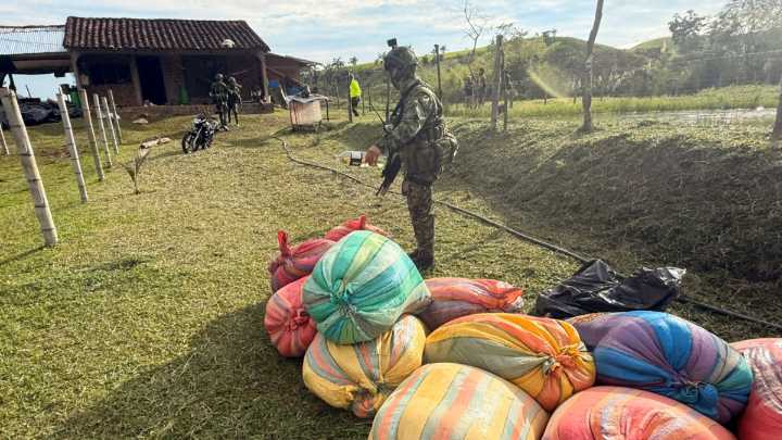 Revelan una nueva modalidad de ocultamiento de cocaína en Colombia para ser enviada al extranjero