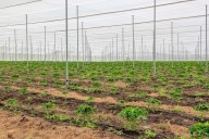 La Secretaria de Agricultura y Desarrollo Rural del gobierno de México en Chihuahua invita a reinscribirse al PEUA