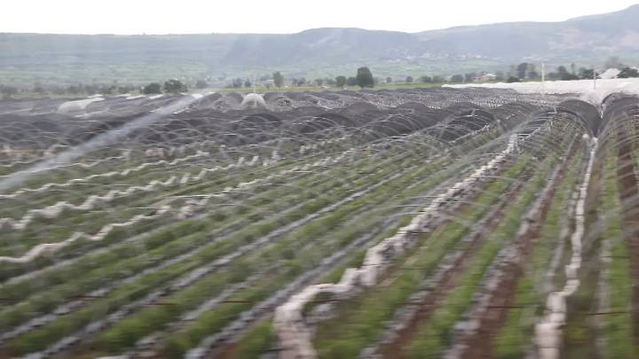 ¡Buenas noticias para Aguascalientes! Su economía crece 1.4%, gracias a agricultura y manufactura