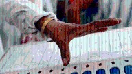 Bihar assembly elections 2025: Check constituency