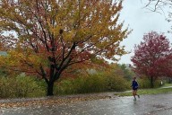 Drought has muted this year's leaf-peeping season, but pockets of brilliant colors remain