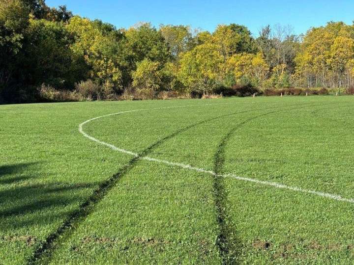 Cricket field damaged again | The Stratford Beacon Herald