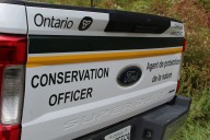 MNR investigating after swans shot dead at Hullett Marsh