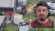 At least 36 dead roosters found in yard from apparent cockfighting ring