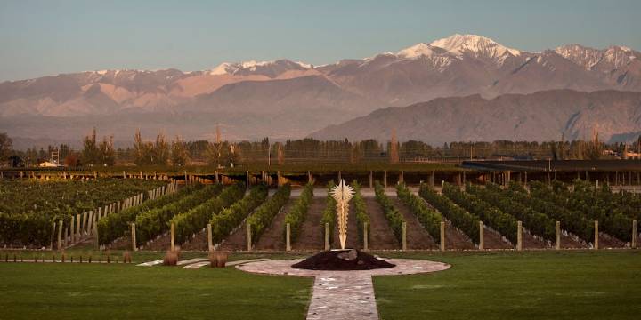 “Contexto desafiante”: Norton, una de la bodegas más reconocidas de la Argentina, solicitó el concurso de acreedores