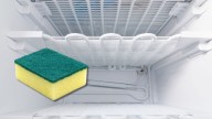 Un truco casero muy curioso: ¿por qué hay que congelar la esponja de platos en una bolsa?