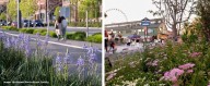Reconnecting to the Land: Indigenous Knowledge Systems Help Shape City of Seattle’s Native Plant Policy