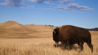 The Roughrider Coin: North Dakota Pioneers State