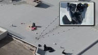 Hundreds of Nike shoes stolen from Florida mall in secret overnight, rooftop break