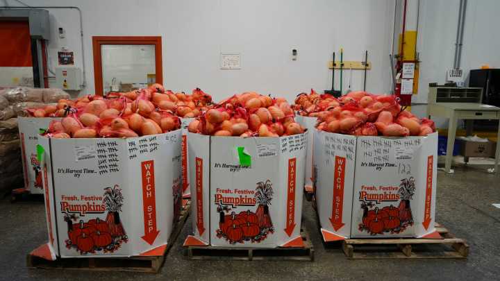 Resources are available to NJ residents who may lose SNAP benefits