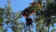 Tandem skydivers become separated, with one falling to his death and the other hanging from a tree