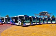 Listos 40 Bowís en El Palomar