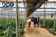 Madre e hijo detenidos en Vícar por explotar laboralmente a nueve inmigrantes