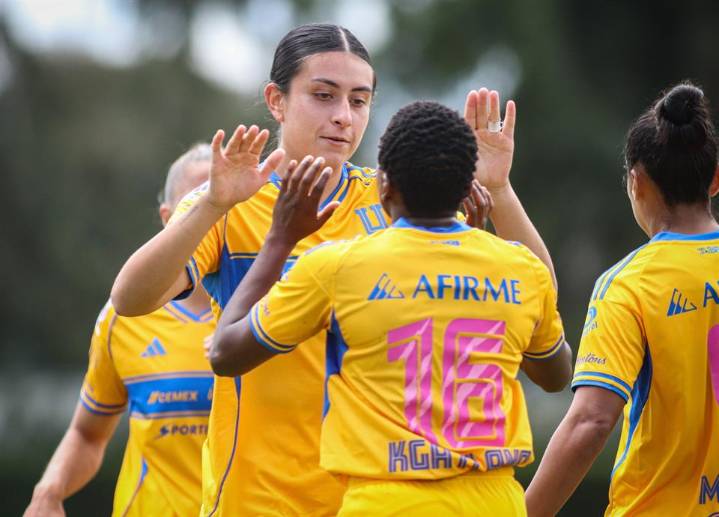 Las Tigres siguen de líderes